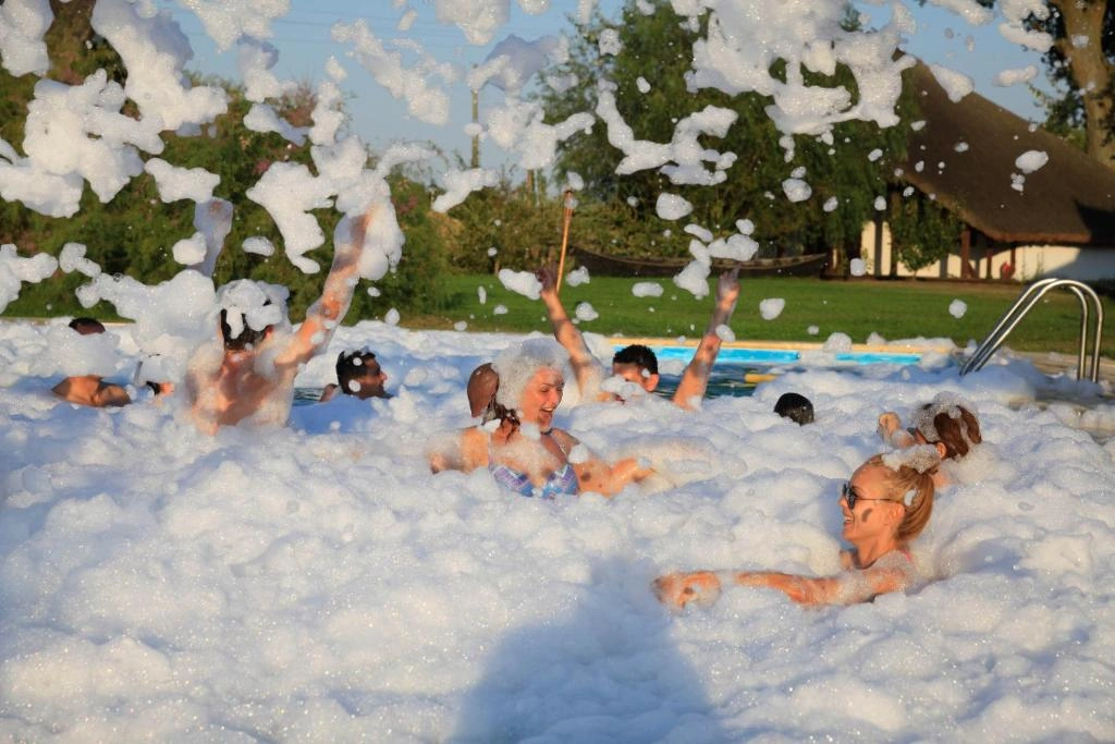 Piscina in Delta Crisan